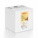Préparation UHT pour glace à l'italienne - saveur vanille - 5,5 kg