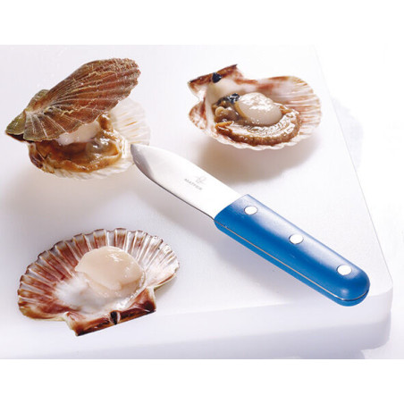 couteau à coquille Saint...