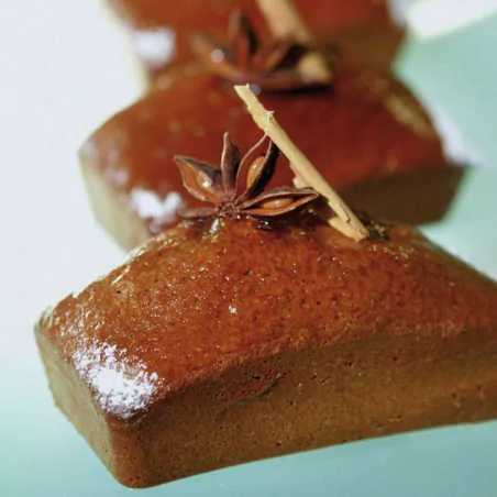 Flexipan 60x40 plaque de 18...