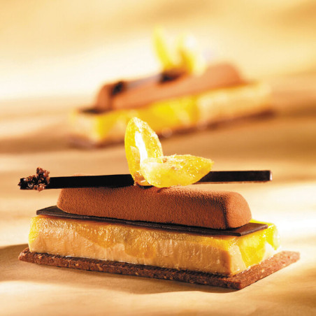 Flexipan GN 1/1 plaque de...