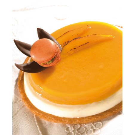 Flexipan 60x40 plaque de 1...