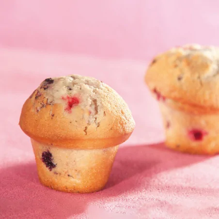 Flexipan GN 1/1 plaque de...