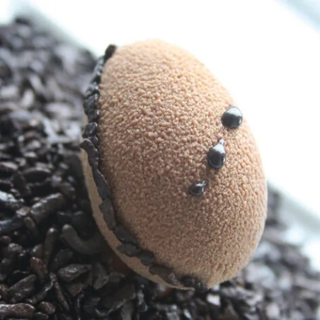 Flexipan 60x40 plaque de 56...