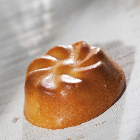 Flexipan 60x40 plaque de 24...