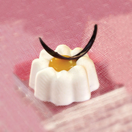 Flexipan 60x40 plaques...