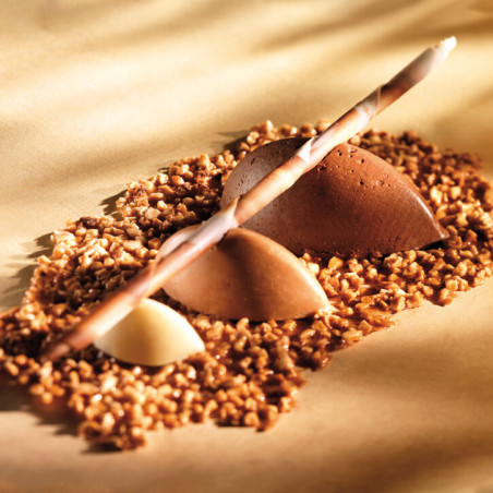 Flexipan GN1/1 plaques...