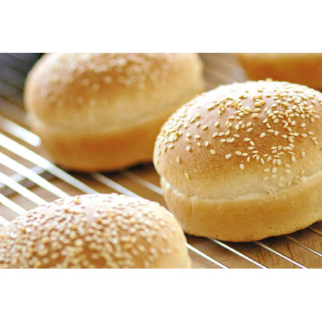 Flexipan Air plaque 600x400...