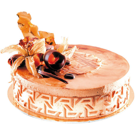 tapis relief silicone 55,5...