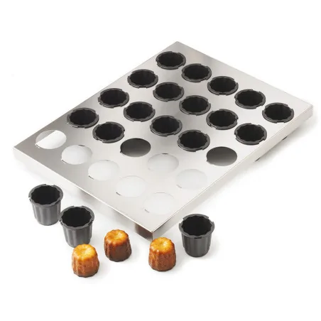 Exoglass plaque de 30...