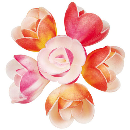 boîte de 72 décors en pain...