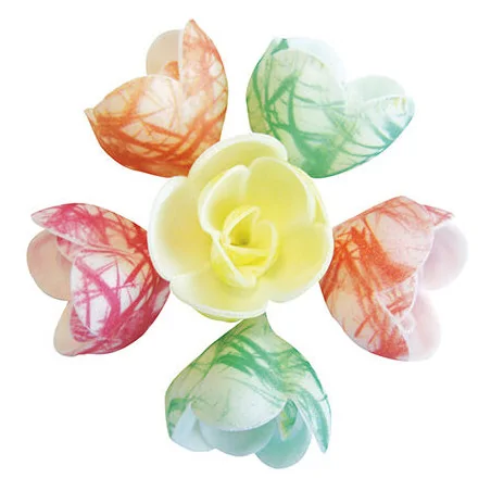 boîte de 72 décors en pain...