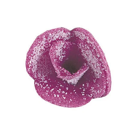 boîte de 100 décors en pain...