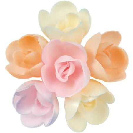 boîte de 72 décors en pain...