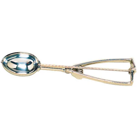 cuillère à glace inox à...