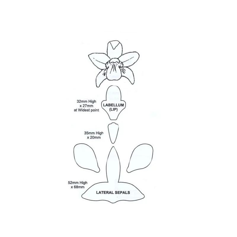 Découpoirs fleur d'orchidée 