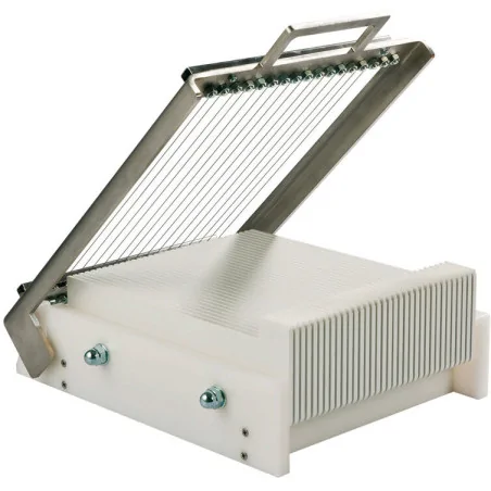 mini-guitare 240x250 avec...