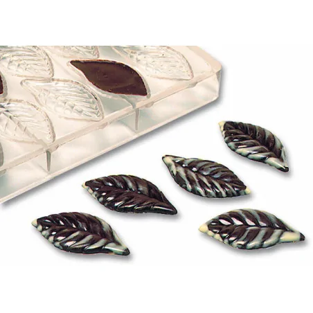 plaque 275x175 pour 21...