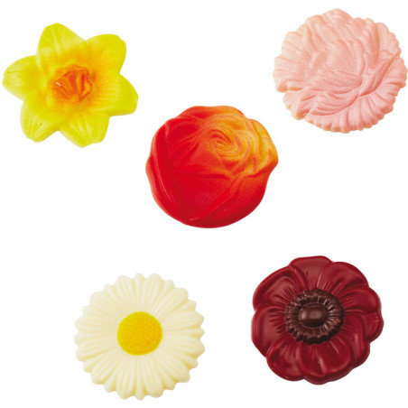 plaque 275x135 pour 20...