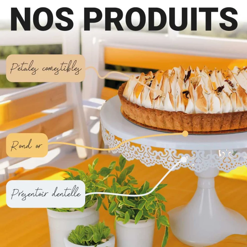 Moule à tarte perforé antiadhésif avec fond amovible