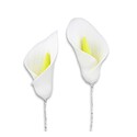 Fleur Arum blanc pastillage wedding cake Fleur Arum blanc pastillage wedding cake