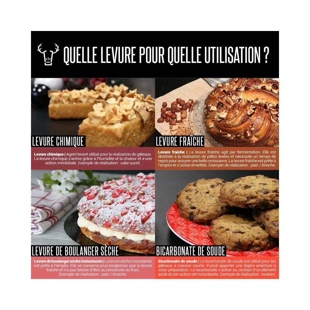 Levure sèche de boulangerie (125 g)