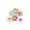 Fleurs d'anémones aromatisées assorties (x133) Fleurs d'anémones aromatisées assorties (x133)