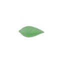 Feuille de liseron vert clair (x500)