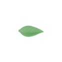 Feuille de liseron vert clair (x500) Feuille de liseron vert clair (x500)