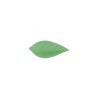Feuille de liseron vert clair (x500)