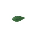 Feuille de liseron vert foncé (x500)