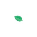 Feuille de rose 47mm vert clair (x350) Feuille de rose 47mm vert clair (x350)