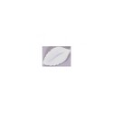 Feuille de rose 47 mm blanche (x350) Feuille de rose 47 mm blanche (x350)