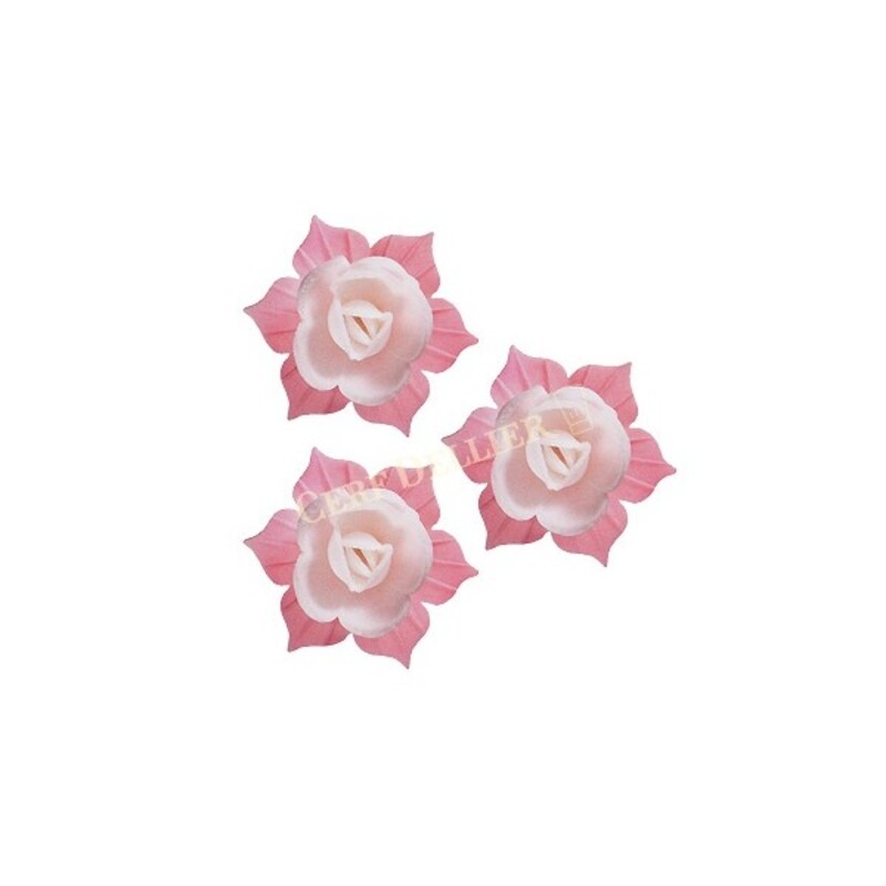 Fleur de Jonquille azyme rose et blanche (x28) - Florensuc | Cerf Dellier