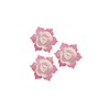 Jonquille blanche et rose (x28)