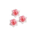 Jonquille rose et blanche (x28) Jonquille rose et blanche (x28)