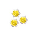 Jonquille jaune et blanche (x28) Jonquille jaune et blanche (x28)