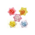 Jonquilles couleurs assorties (x28) Jonquilles couleurs assorties (x28)