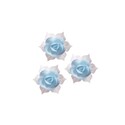 Jonquille bleue et blanche (x28) Jonquille bleue et blanche (x28)