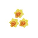 Jonquille jaune et or (x28) Jonquille jaune et or (x28)
