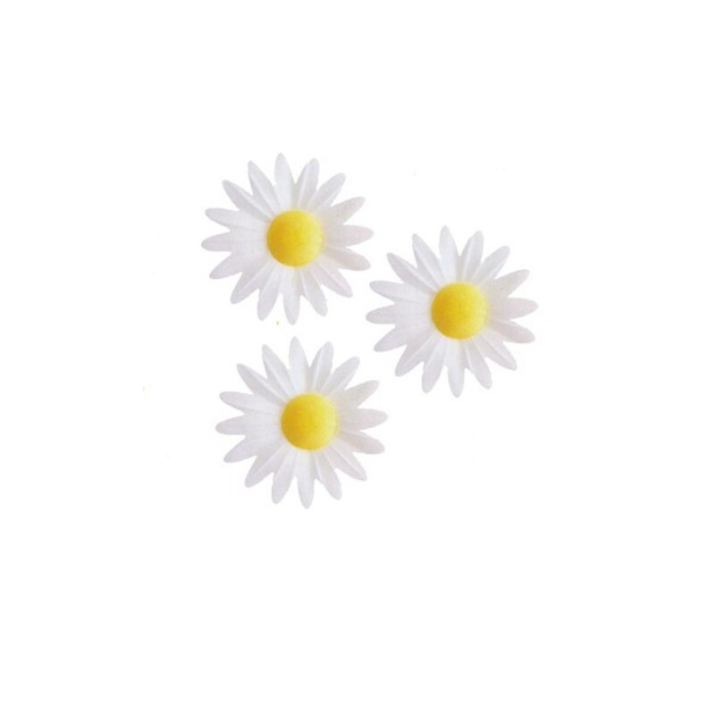 18 fleurs marguerites en papier azyme - Planète Gateau