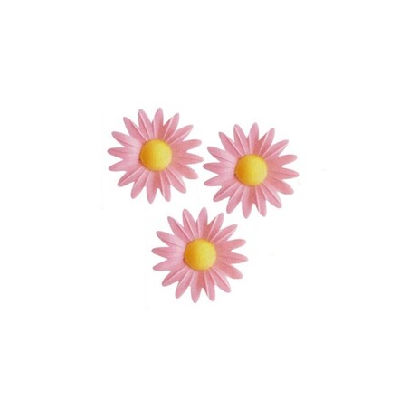 Marguerite rose (x100)