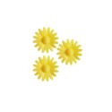Marguerite jaune (x100) Marguerite jaune (x100)