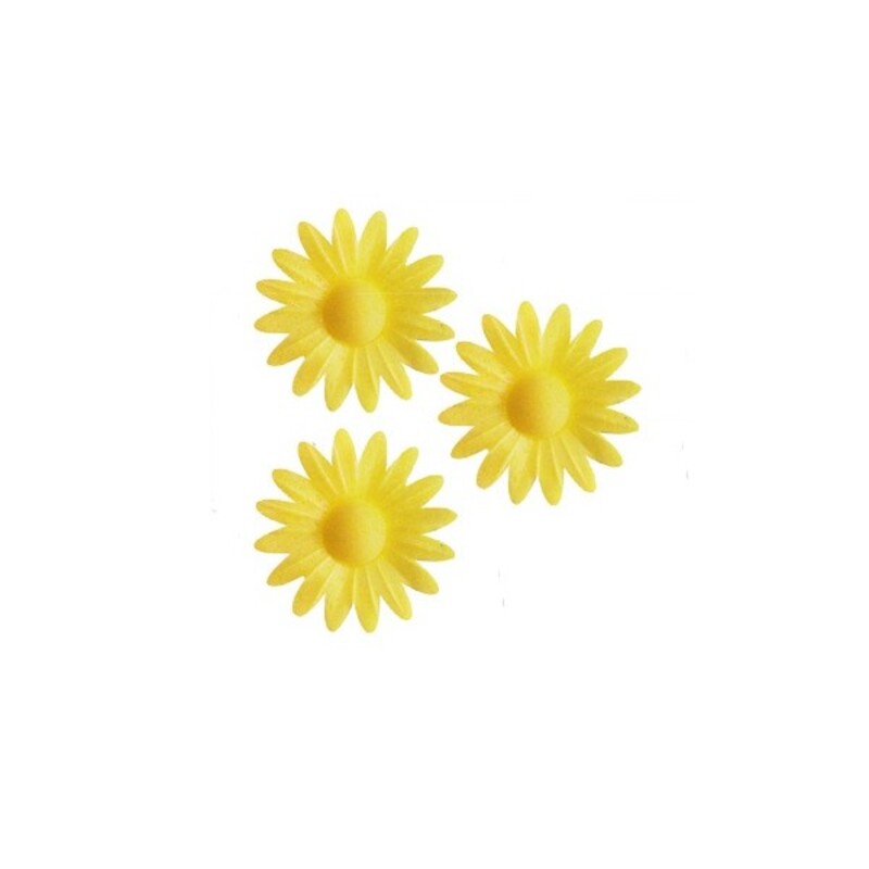 Marguerite jaune (x100)