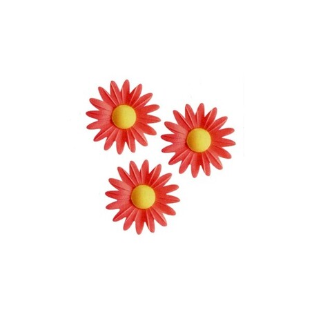 Marguerite Rose Carmin (x100)
