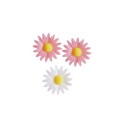 Marguerites assorties roses et blanches (x100) Marguerites assorties roses et blanches (x100)