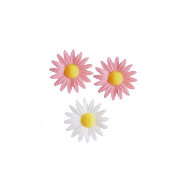 Marguerites assorties roses et blanches (x100)