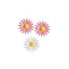 Marguerites assorties roses et blanches (x100)
