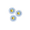 Marguerite bleue (x100)