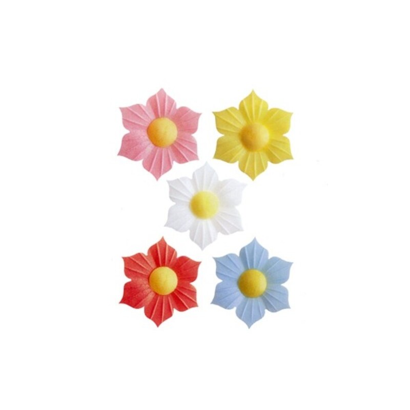 Narcisses coloris assortis (x100)