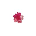 Mini-rose arôme fruits rouges (x60)